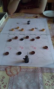 Yes those are Warhammer pieces, Draughts pieces and a few Othello pieces.