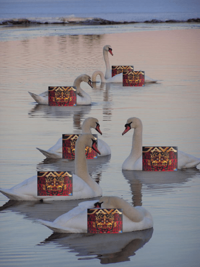 Seven Javas a-Swimming!