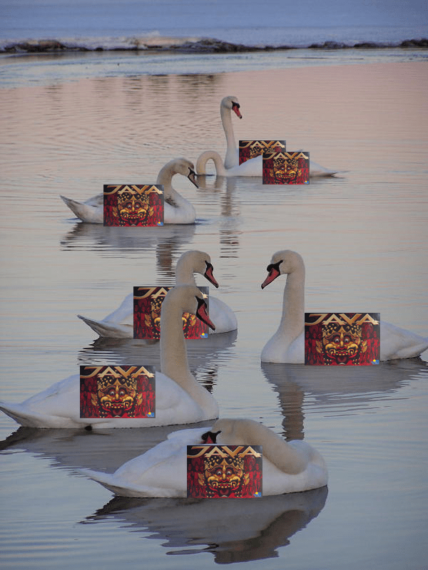 Seven Javas a-Swimming!