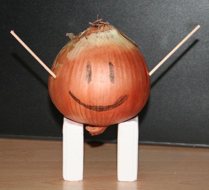 Meet Mr Onion!