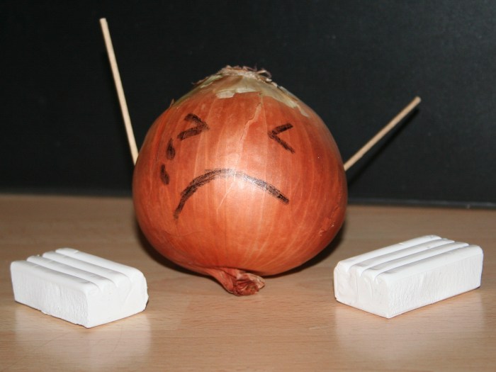 Poor Crippled Mr Onion...