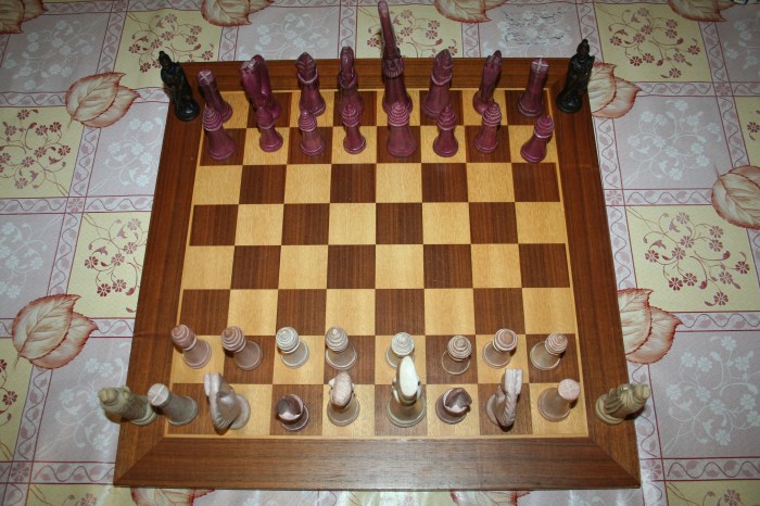 Stealth Chess staring positions.